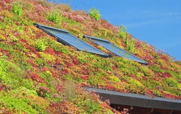 Netherburn living roof systems