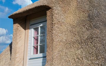 Netherburn thatch roof disadvantages